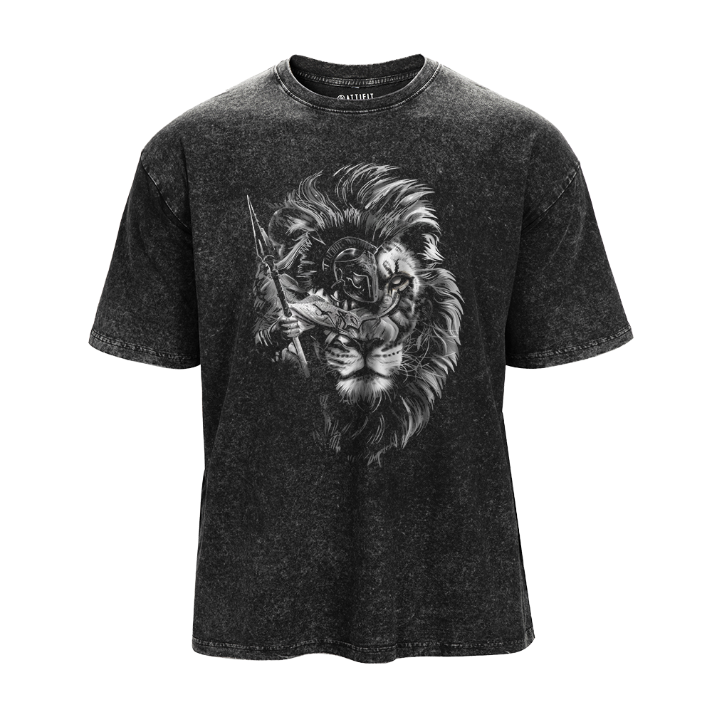 Paladin Lion Vintage T-Shirt