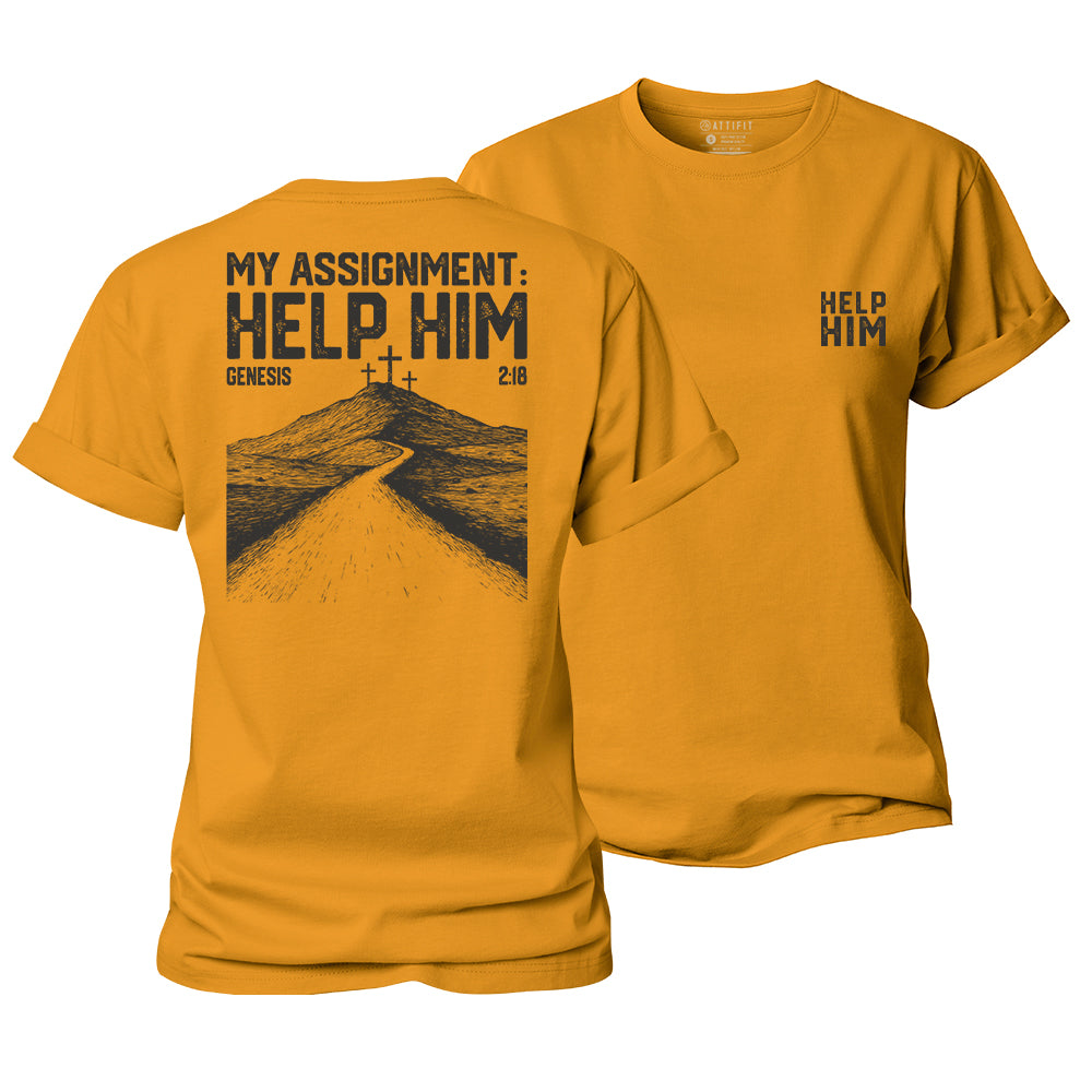 My Assignment: Help Him Women's Cotton T-Shirt
